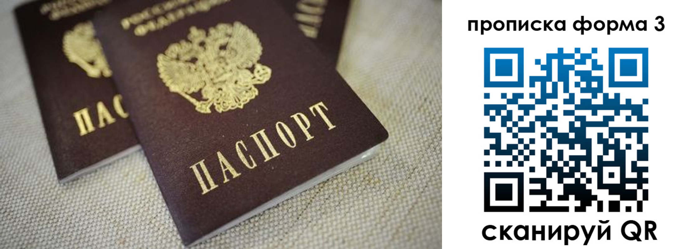 прописка поиск в Липецкая области